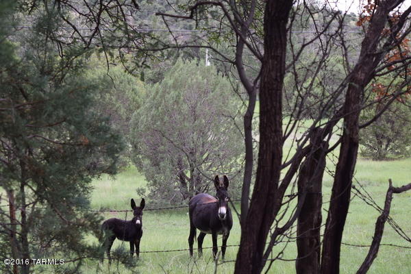 Umpire Ranch Road Elgin, AZ 85611 - Photo 20 of 27
