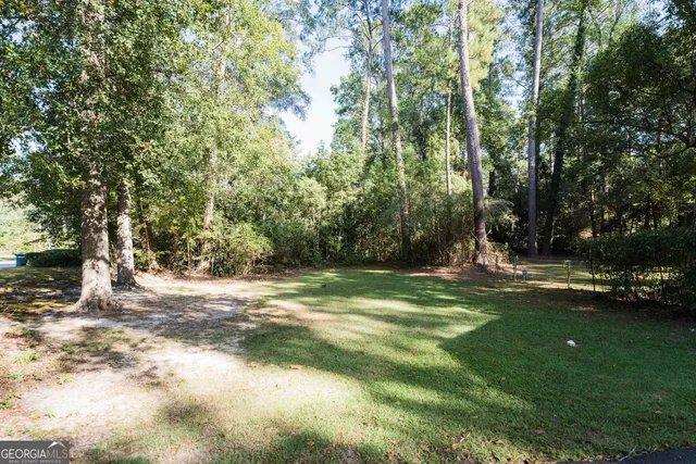 a view of backyard with green space