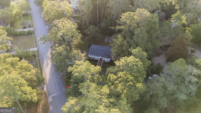 a picture of a tree in a garden