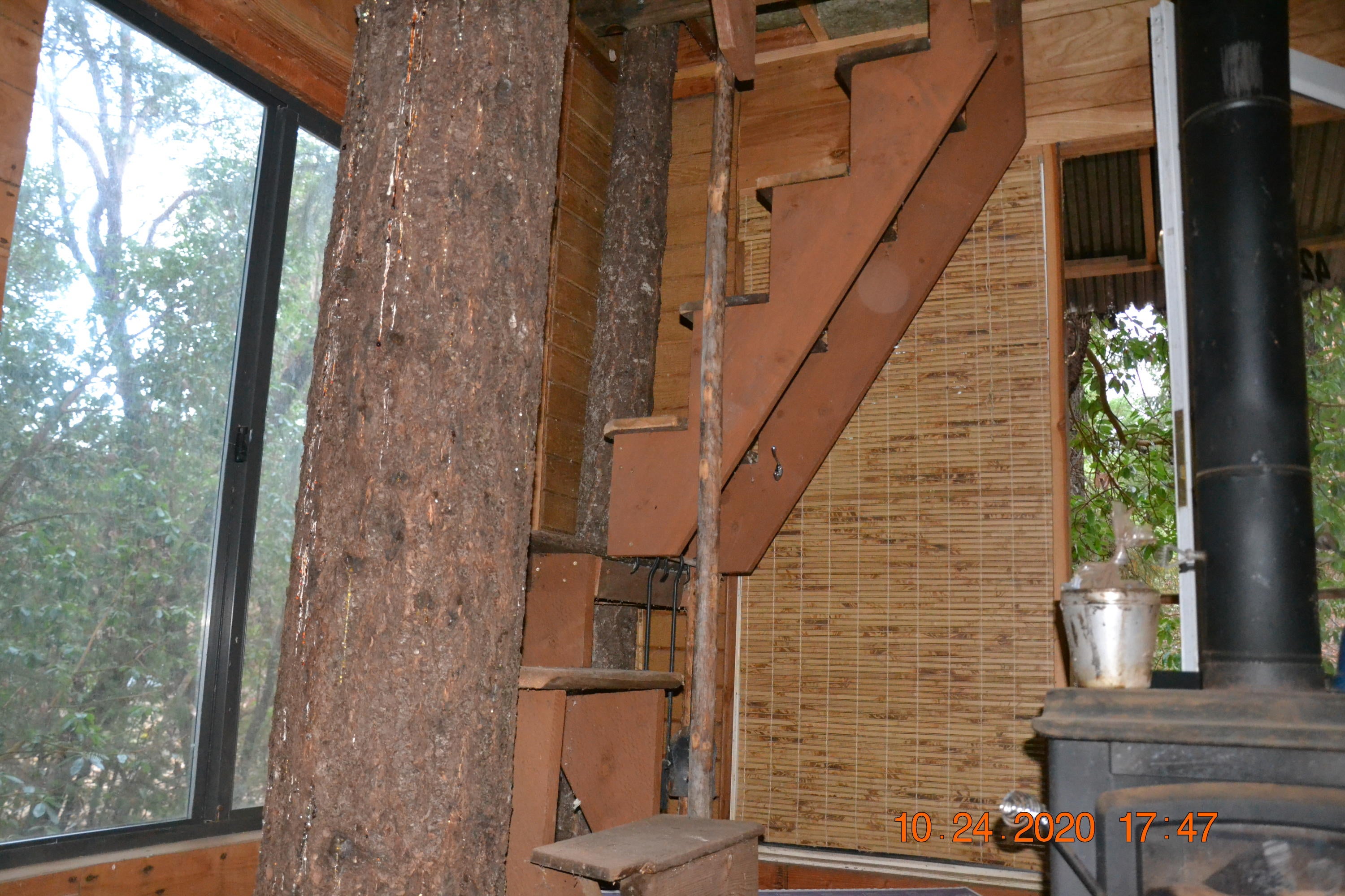 15567 Water Gap Road Williams, OR 97544 - Photo 31 of 36 DSC_0034