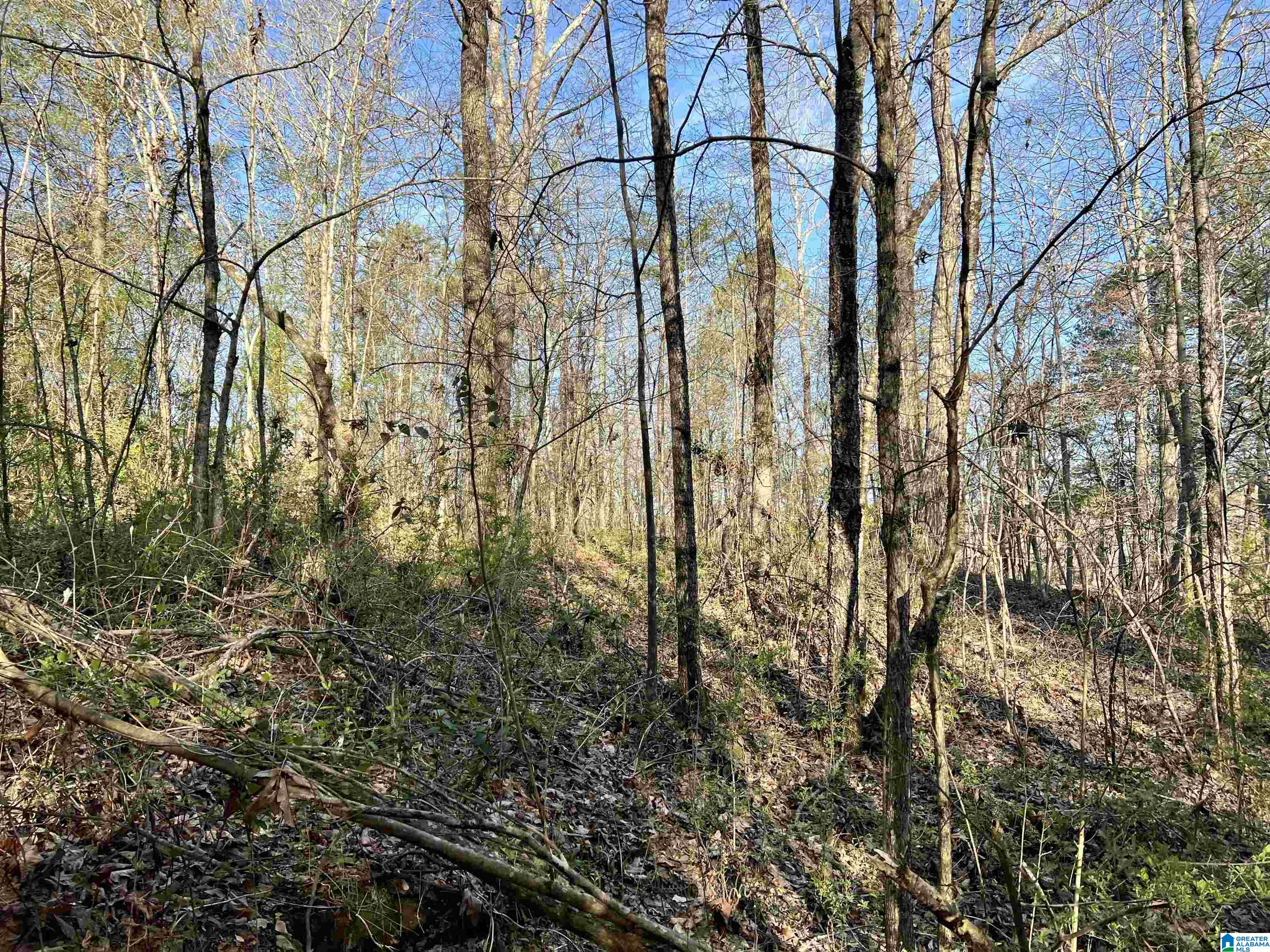 0 Lakeshore Lane, Unit 3 Oneonta, AL 35121 - Photo 20 of 21