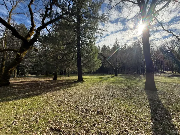 a view of backyard of the house
