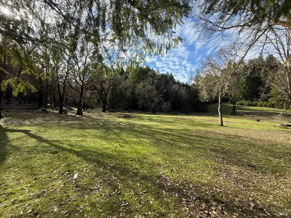 a swimming pool view