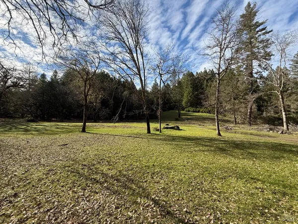 a view of a tennis ground with large trees