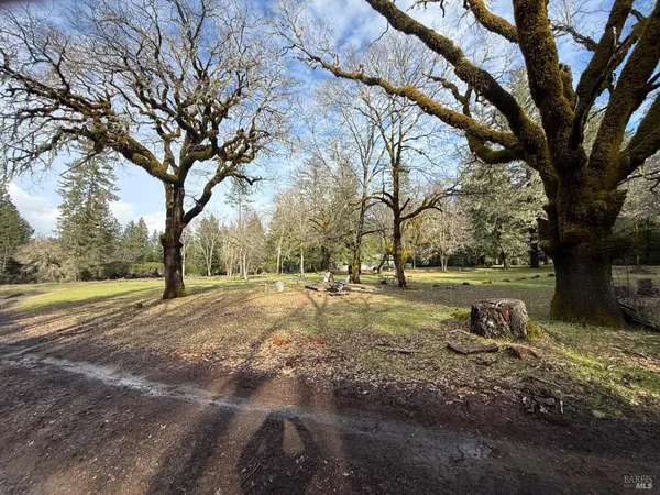 a view of dirt yard with a tree