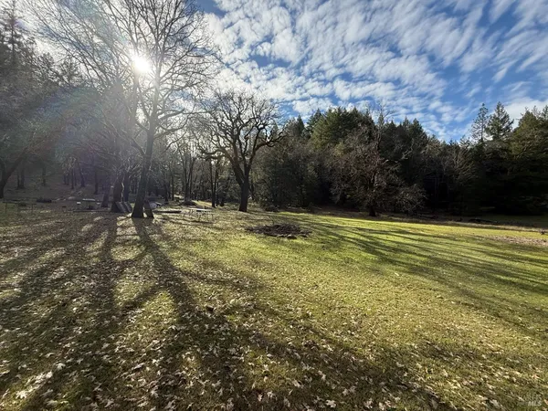 a view of outdoor space with trees