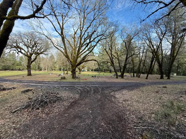 a view of dirt yard with a tree