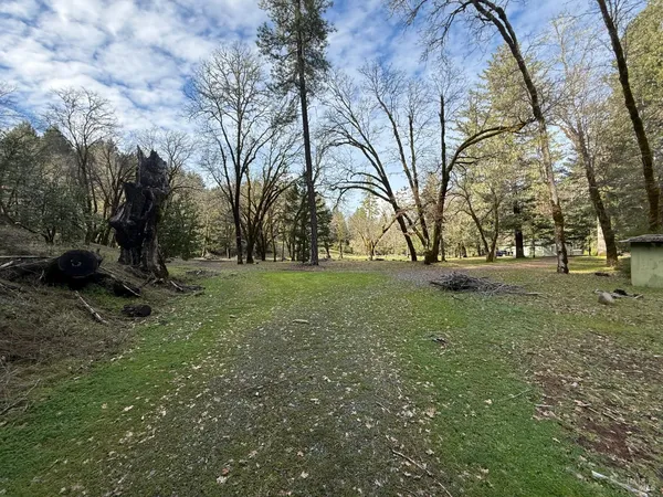 a view of outdoor space with garden