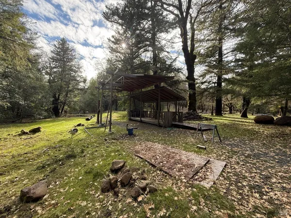 a view of a park with large trees