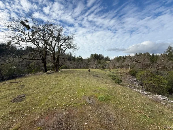 a view of outdoor space and yard