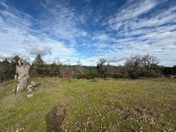 a view of a field with an trees