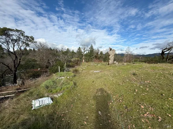 a view of outdoor space and yard