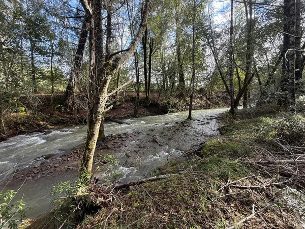 a backyard of a house with lots of green space