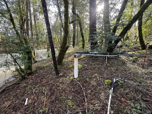 a backyard of a house with lots of green space