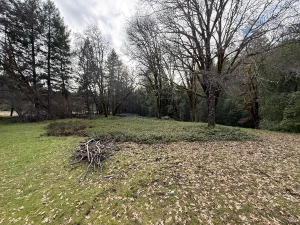 a backyard of a house with lots of green space