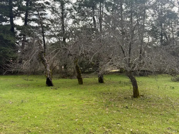 a fire hydrant in the middle of a field
