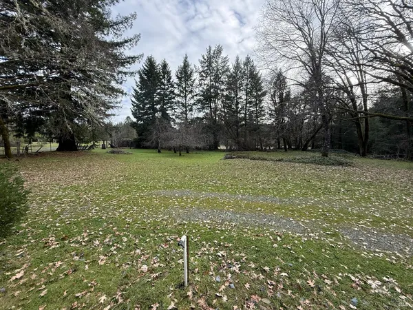 a view of a green yard