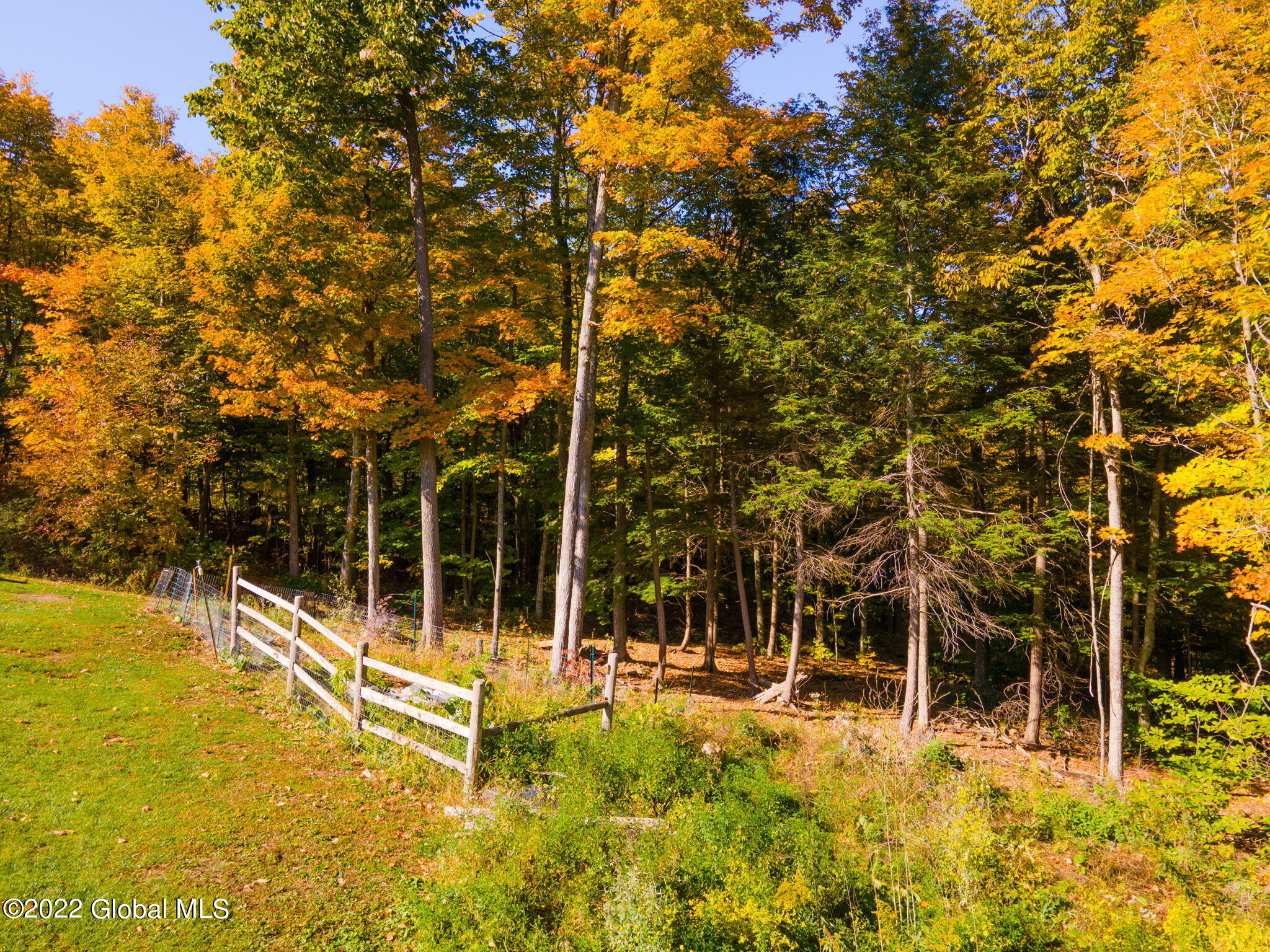 155 Gordon Road Carlisle, NY 12160 - Photo 41 of 48 46-web-or-mls-155GordonRd-46