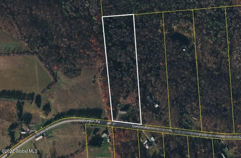 155 Gordon Road Carlisle, NY 12160 - Photo 48 of 48 aerial map