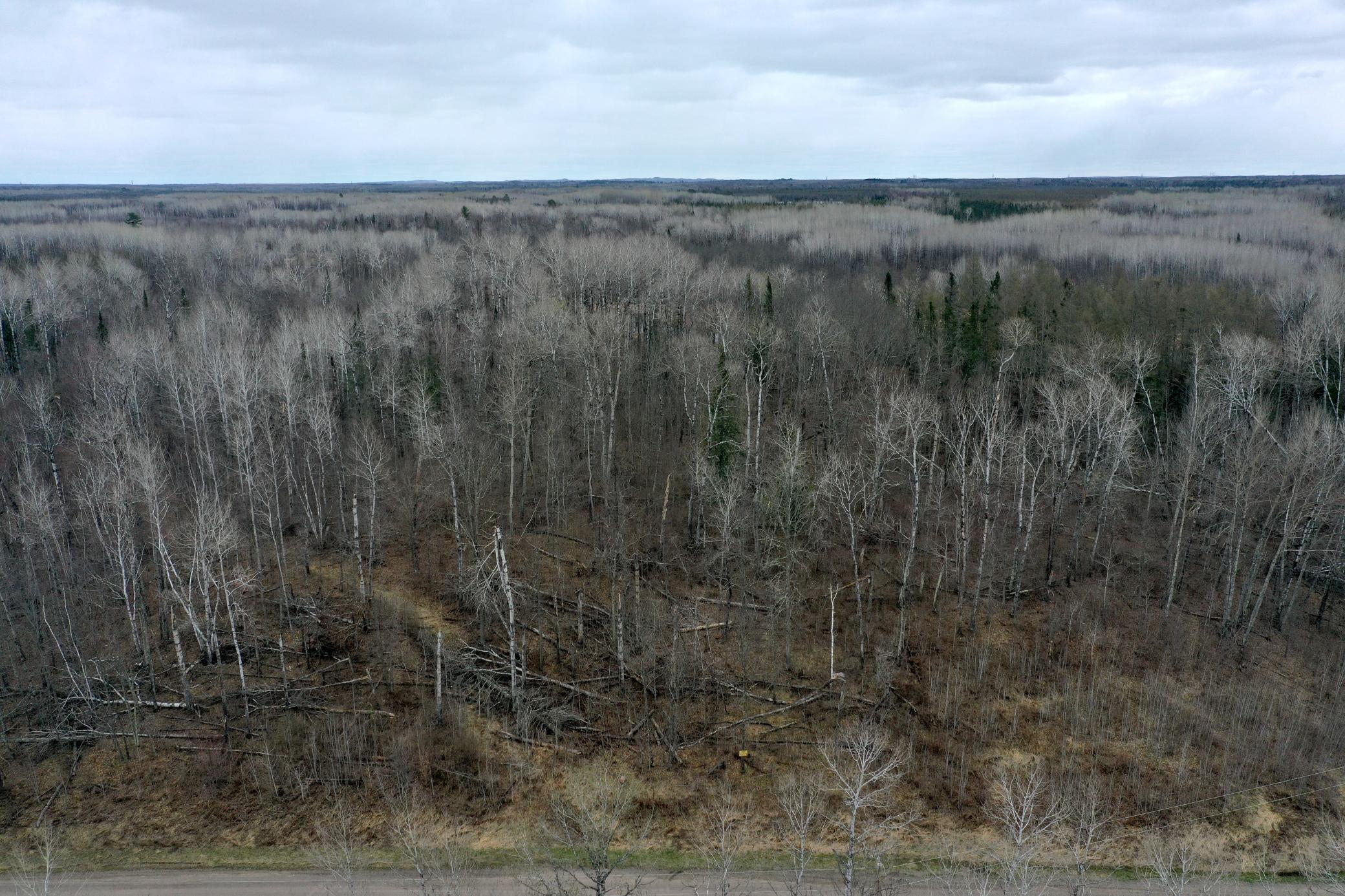 3854 Rasmussen Road Wright, MN 55798 - Photo 25 of 98
