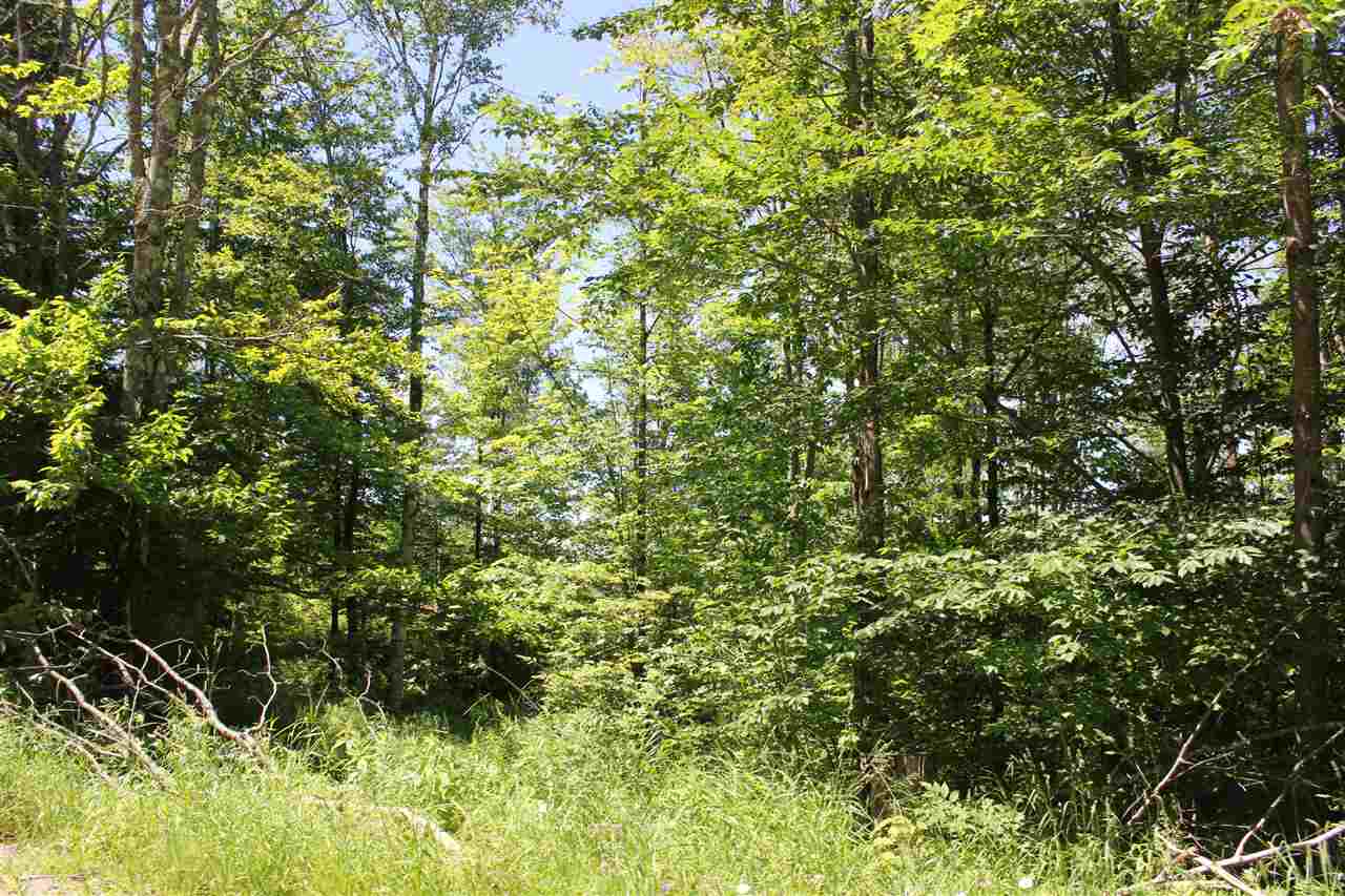 93 Obed Moore Road Weston, VT 05161 - Photo 29 of 30