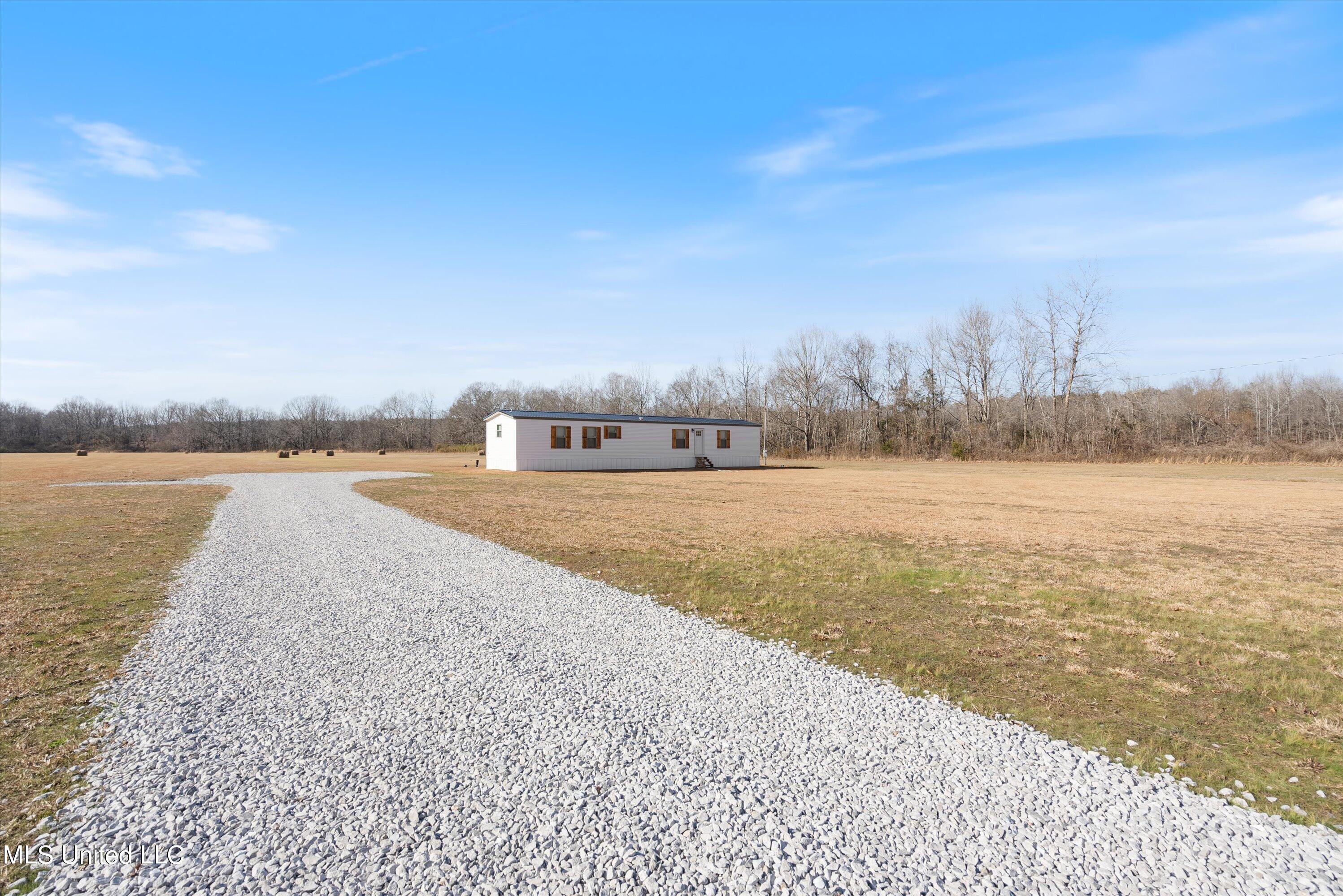 256 McCauley Road Holly Springs, MS 38635 - Photo 31 of 36 29-Driveway