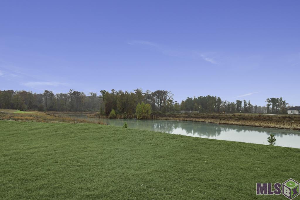 43294 Collyns Cove Prairieville, LA 70769 - Photo 39 of 40