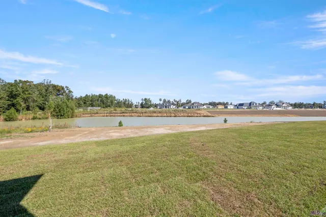 $900,000 | 43294 Collyns Cove, Prairieville, LA 70769