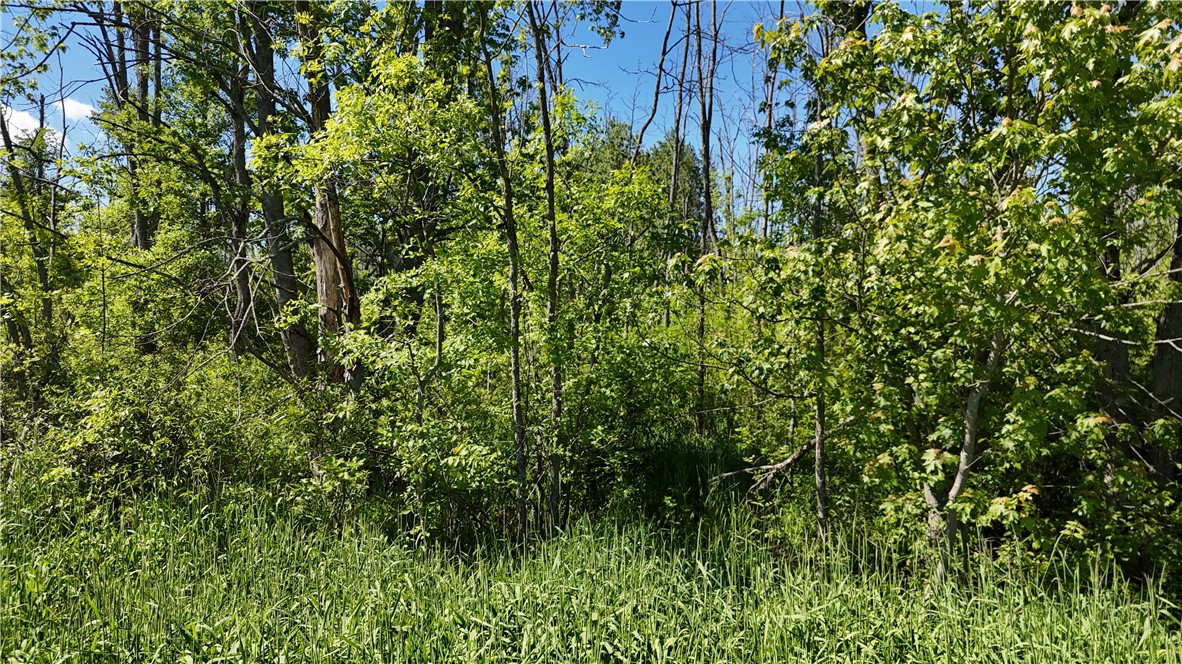 Dredge Ditch Road Conewango Valley, NY 14726 - Photo 5 of 21