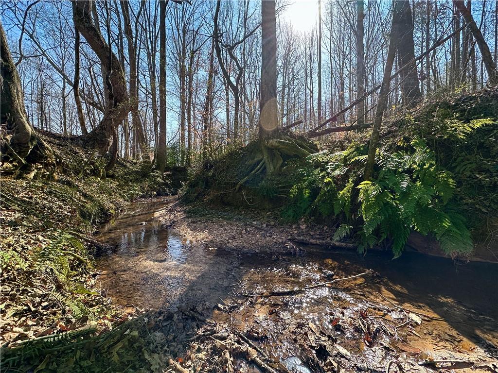 Lot 3 Old State Road Talmo, GA 30575 - Photo 11 of 17 a backyard of a house with lots of green space