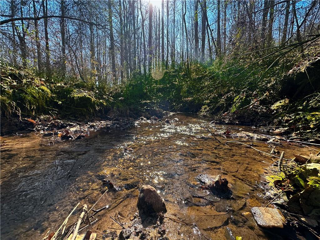 Lot 3 Old State Road Talmo, GA 30575 - Photo 12 of 17 a view of a tree with a yard