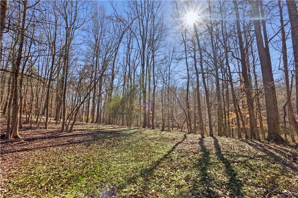 Lot 3 Old State Road Talmo, GA 30575 - Photo 13 of 17 a view of outdoor space with wooden fence