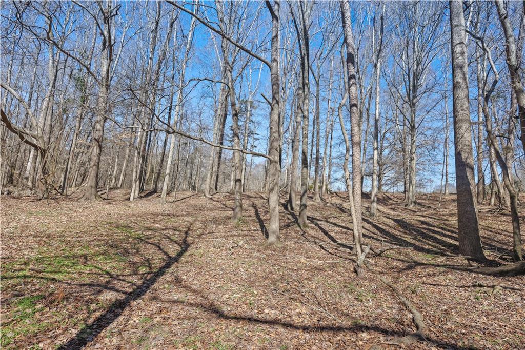 Lot 3 Old State Road Talmo, GA 30575 - Photo 14 of 17 a view of covered with snow