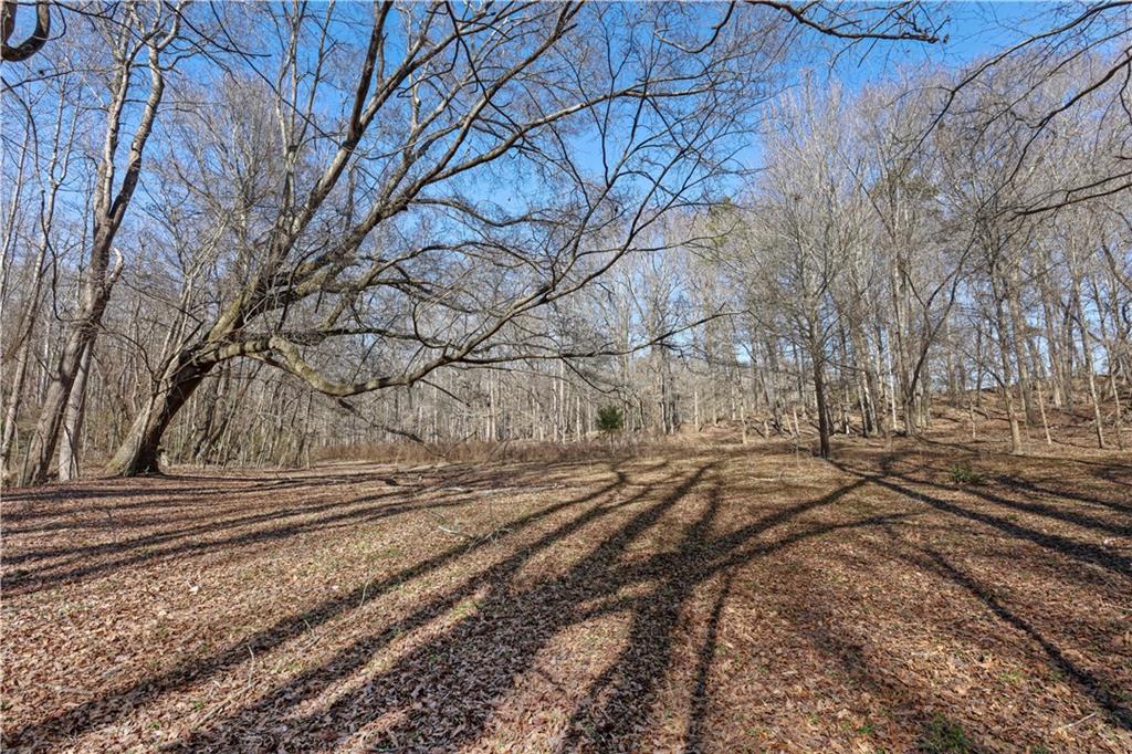Lot 3 Old State Road Talmo, GA 30575 - Photo 15 of 17 a view of a yard with large trees
