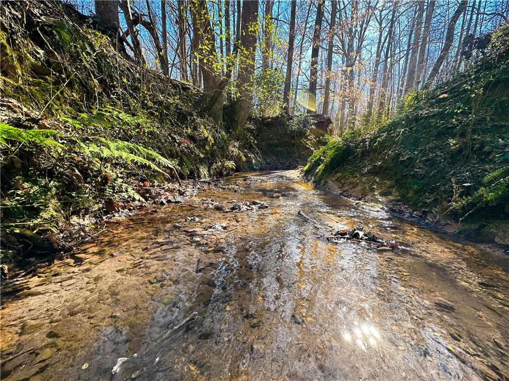 Lot 3 Old State Road Talmo, GA 30575 - Photo 3 of 17 a view of a yard with plants and trees