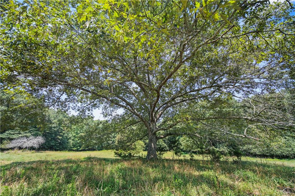 Lot 3 Old State Road Talmo, GA 30575 - Photo 4 of 17 a view of a lake with a yard