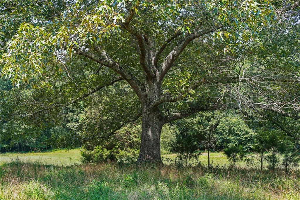 Lot 3 Old State Road Talmo, GA 30575 - Photo 9 of 17 a view of lake with green space