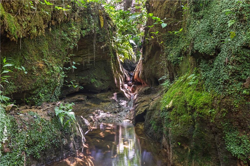 Lot 3 Old State Road Talmo, GA 30575 - Photo 10 of 17 a backyard of a house with lots of green space and garden