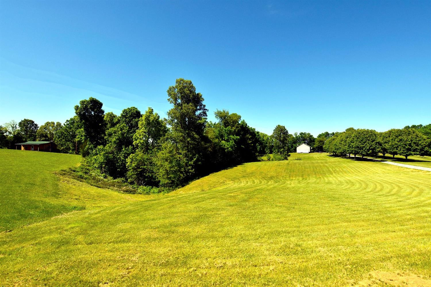 460 Red River Road Irvine, KY 40336 - Photo 7 of 53 Plenty of separation between the main ho