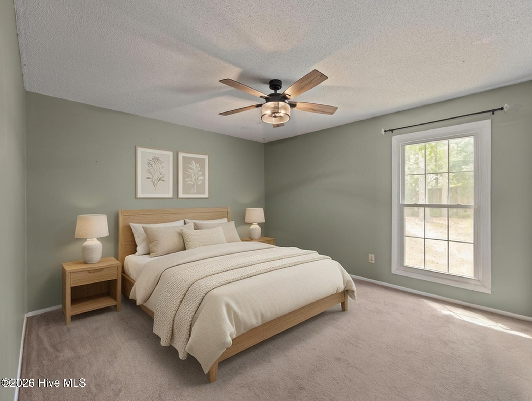 625 Shadowridge Road Jacksonville, NC 28546 - Photo 9 of 19 Master Bedroom