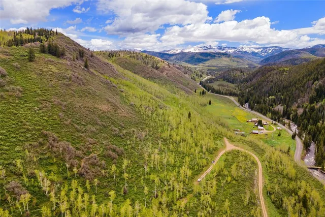 a view of a garden with an outdoor space