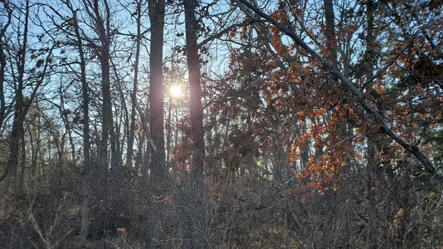 $26,900 | Tbd Division Street West, Bemidji, MN 56601