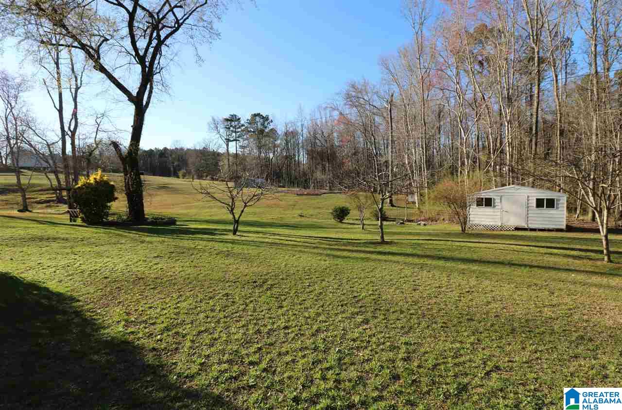 595 Fincher Road Pell City, AL 35128 - Photo 27 of 47