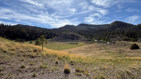 $240,000 | 24.61-acres Los Alamitos Road, Chacon, NM 87713