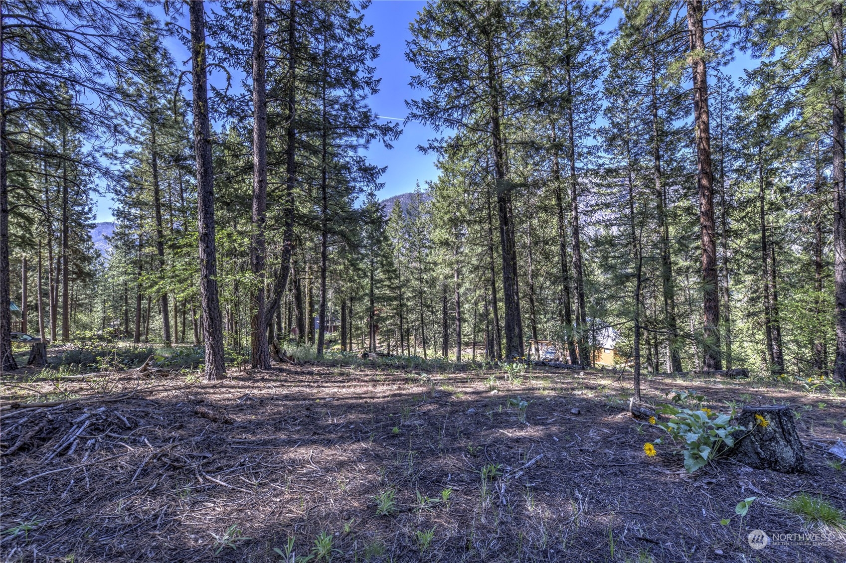 20 Cassal Road Winthrop, WA 98862 - Photo 1 of 40 a view of outdoor space with green space