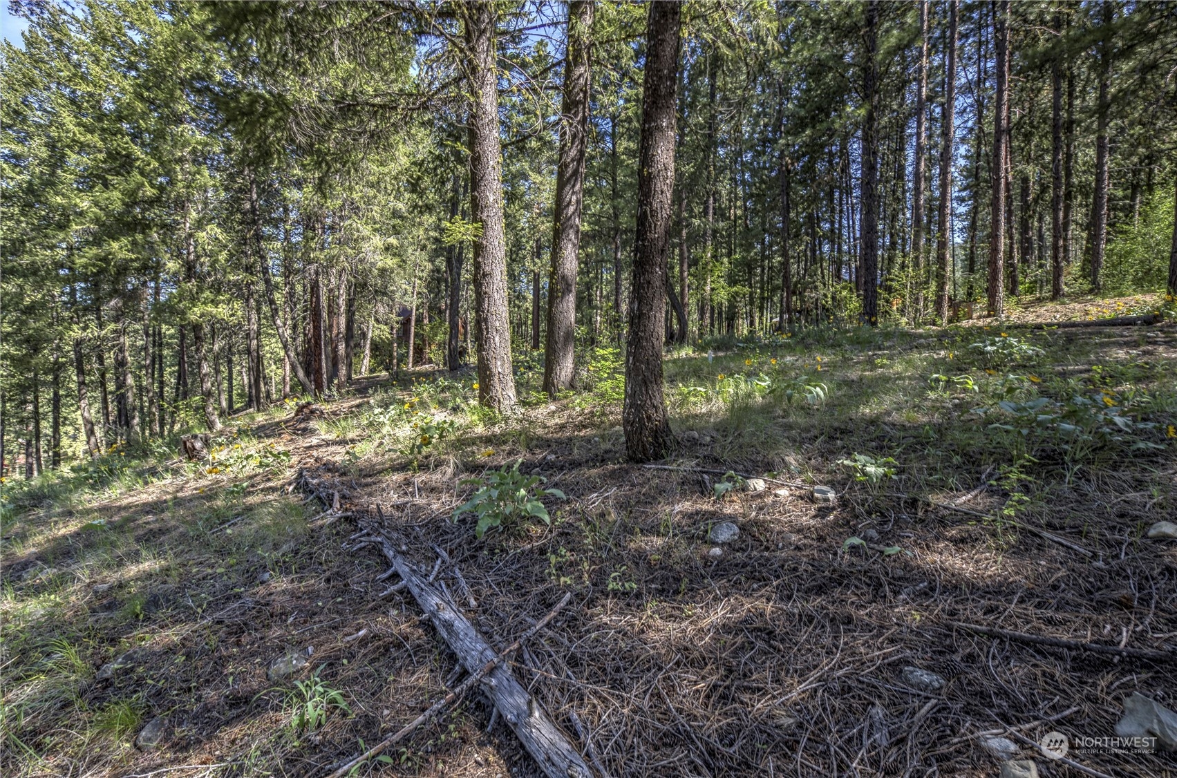 20 Cassal Road Winthrop, WA 98862 - Photo 13 of 40 a view of outdoor space with trees