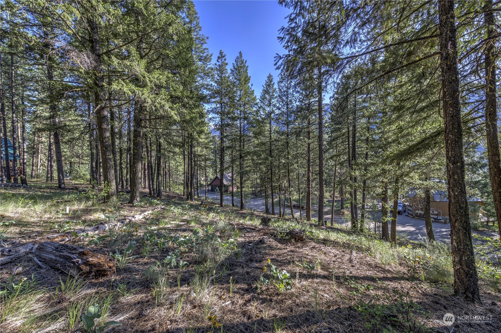 20 Cassal Road Winthrop, WA 98862 - Photo 17 of 40 a backyard of a house with lots of green space