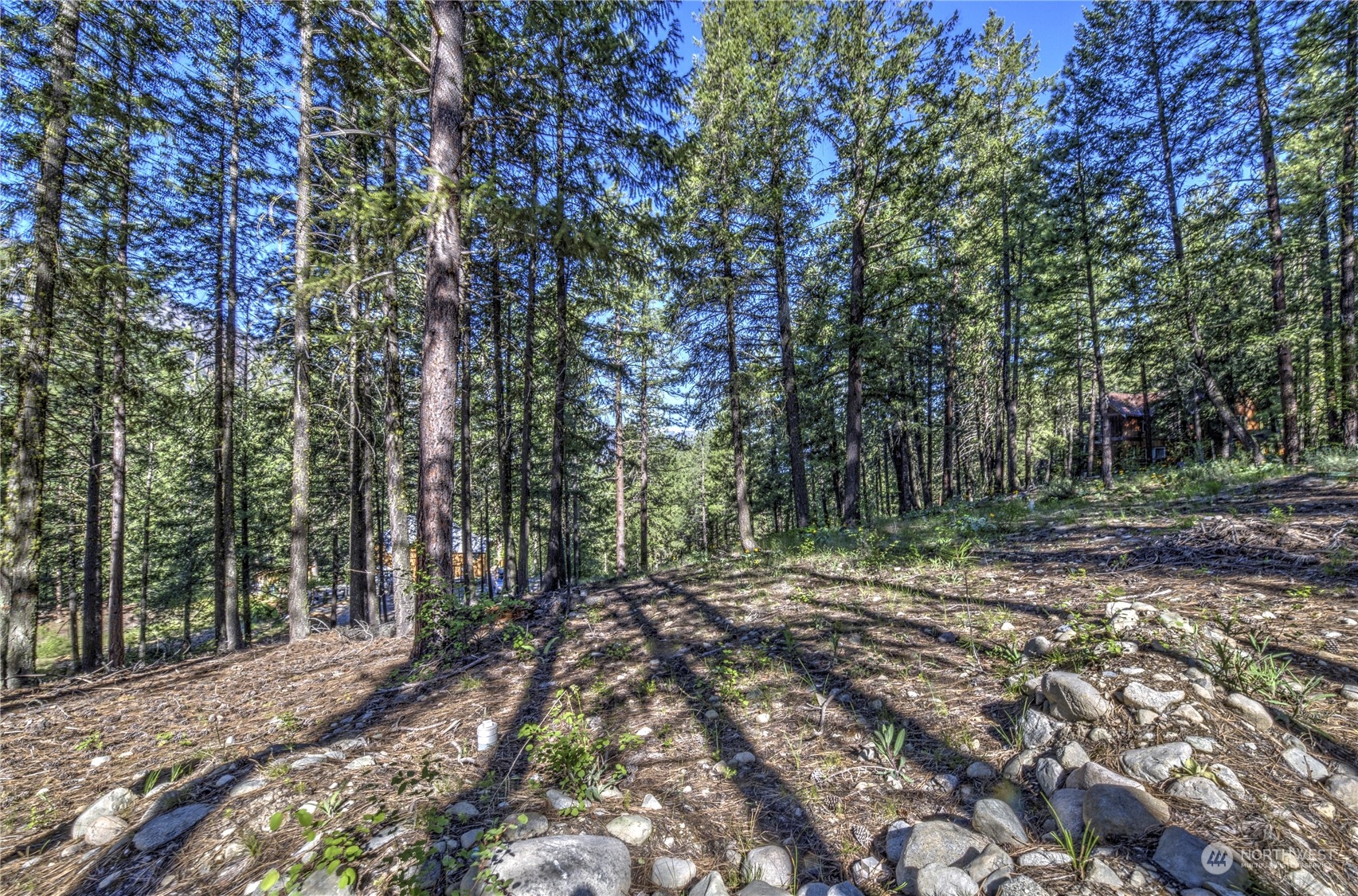 20 Cassal Road Winthrop, WA 98862 - Photo 2 of 40 a view of a forest with trees