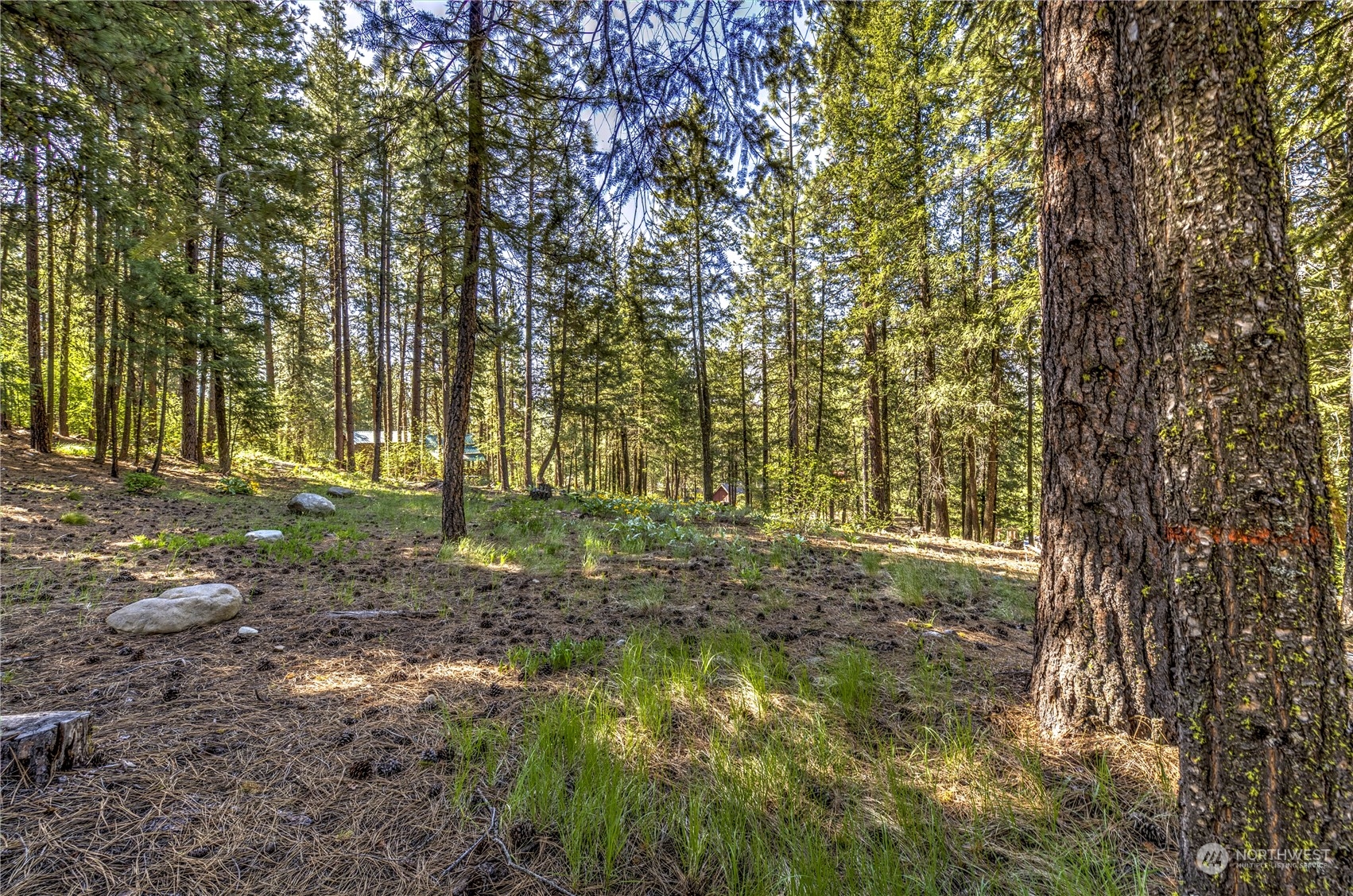20 Cassal Road Winthrop, WA 98862 - Photo 21 of 40 a view of outdoor space and green space