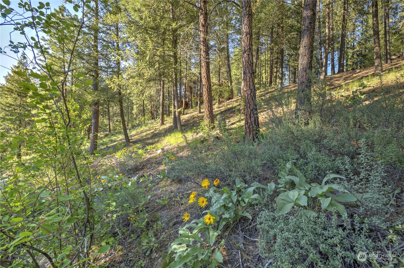 20 Cassal Road Winthrop, WA 98862 - Photo 22 of 40